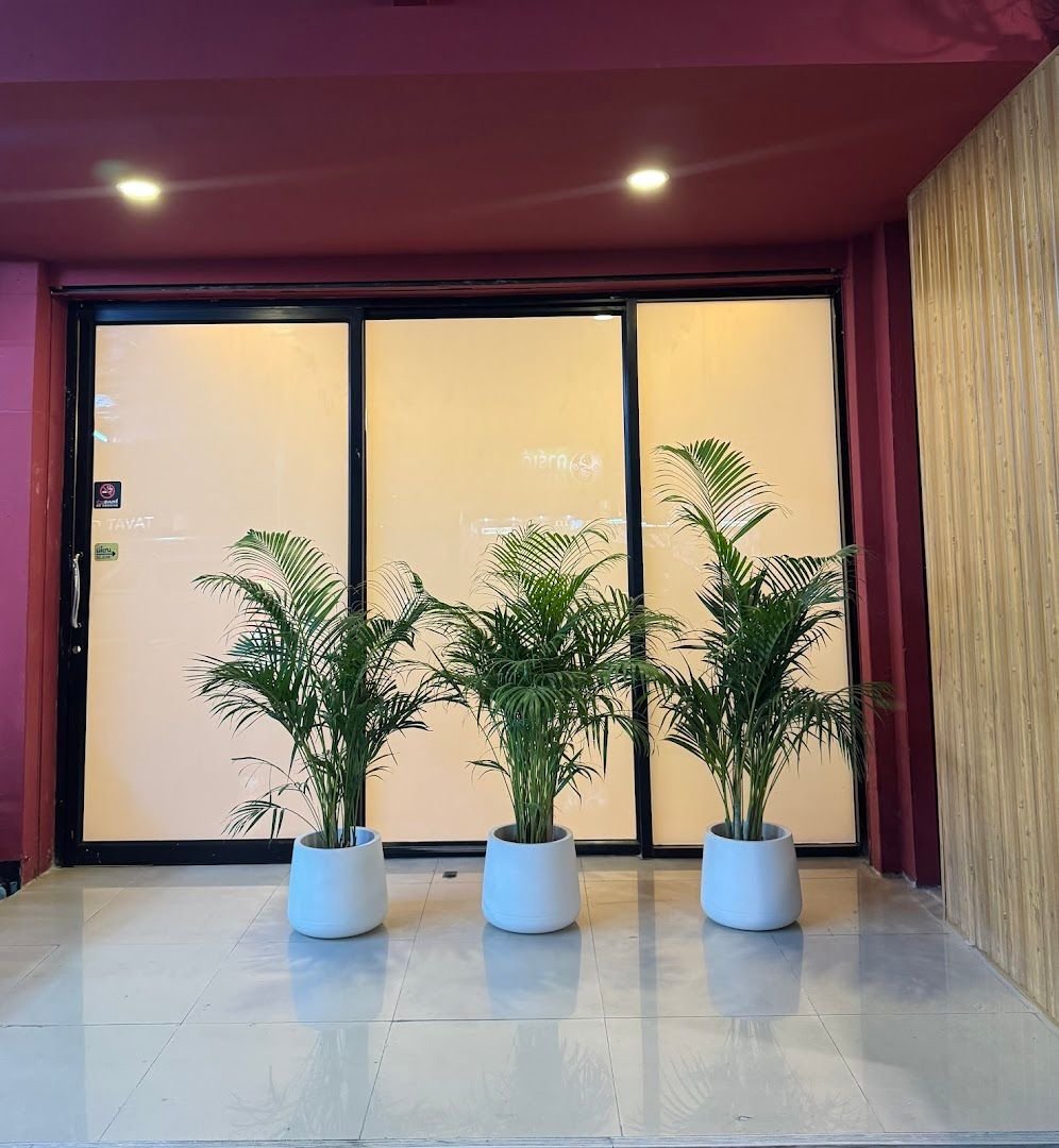 Kinbi Nuru Massage — Nuru & Body to Body Massage interior photo 2 in Pattaya