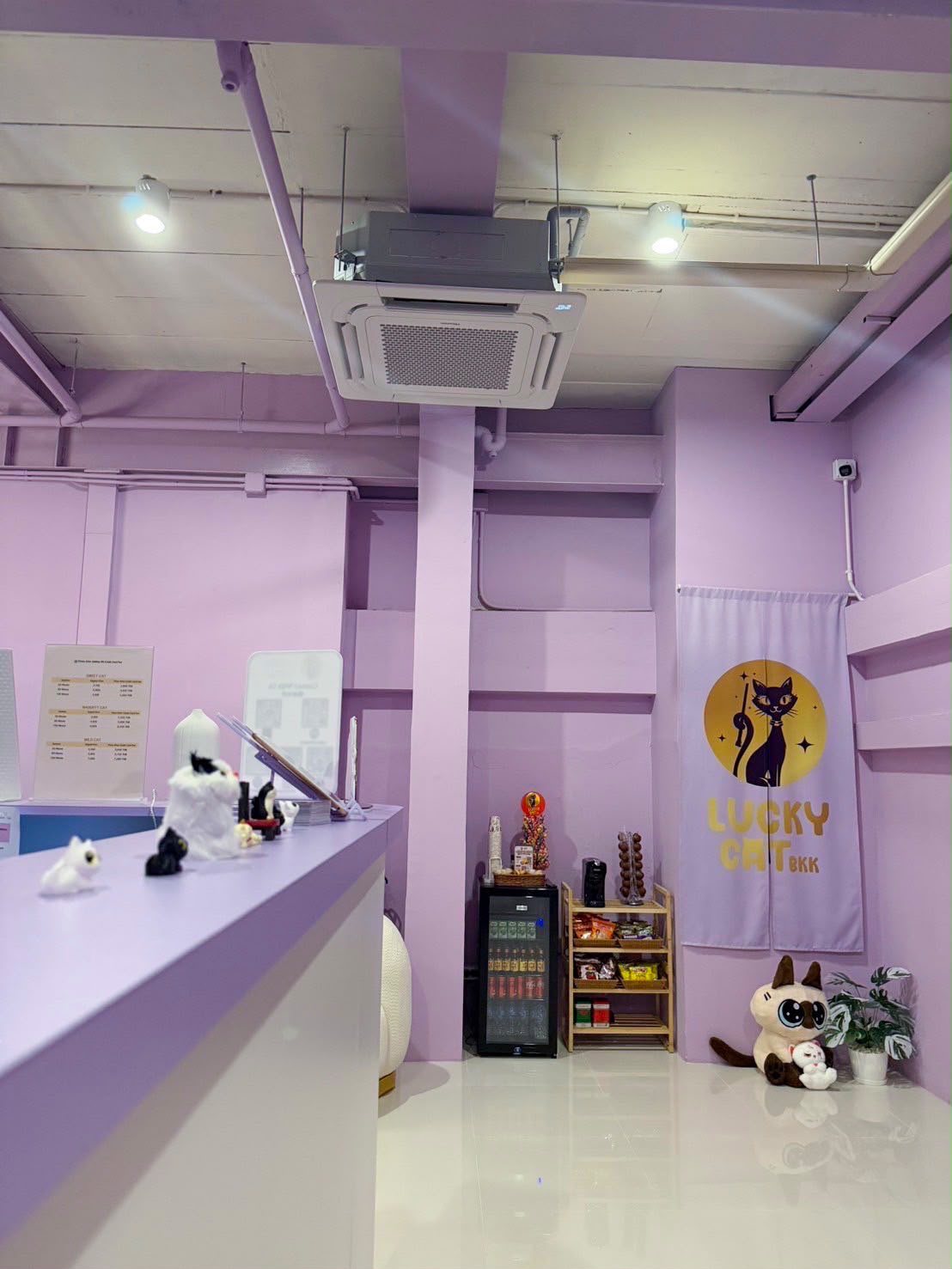 Lucky Cat BKK — Nuru & Body to Body Massage photo 3 in Bangkok